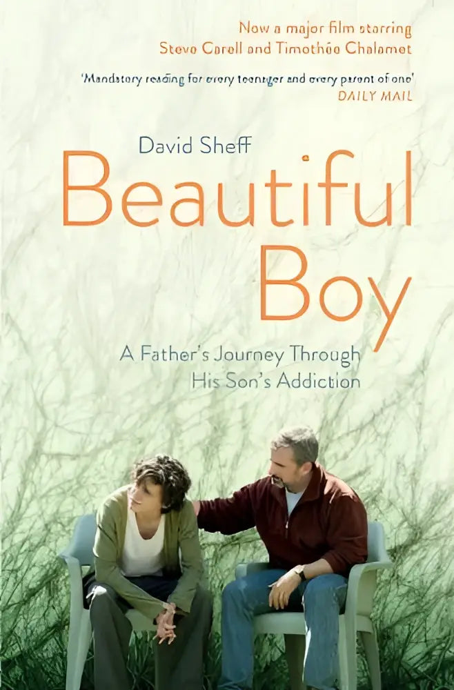 The book cover of beautiful boy by david sheff shows two men seated outdoors symbolizing a journey through his sons addiction