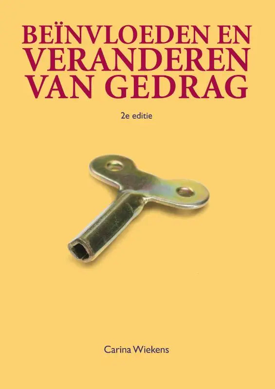 Een metallic t-vormige sleutel met gepolijste afwerking en twee ronde gaten passend bij beïnvloeden en veranderen van gedrag