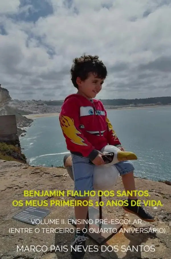 Jonge jongen in rode lightning mcqueen hoodie zit op rotsen in benjamin fialho dos santos volume ii pre-school boek