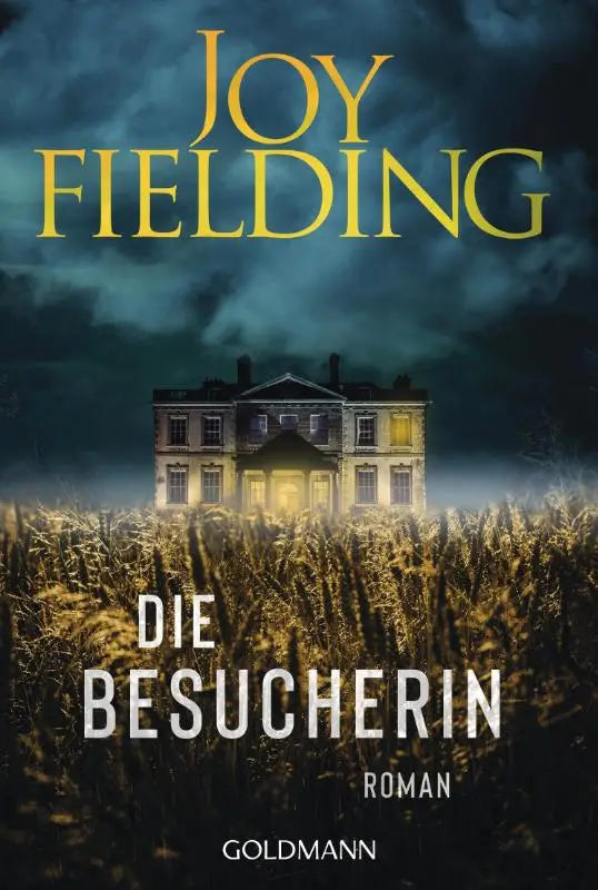 Een grandioos tweeverdiepingenstenen herenhuis met verlichte ramen onder een stormachtige lucht op de cover van die besucherin roman van joy fielding nu verkrijgbaar als bestseller von jetzt im taschenbuch