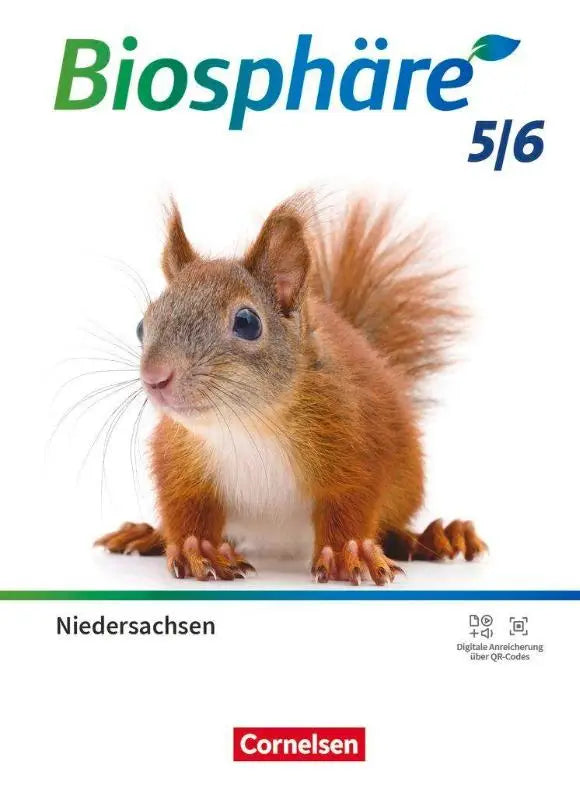 Een pluizige rode eekhoorn met een bosrijke staart en witte buik op een witte achtergrond voor biosphäre sekundarstufe gymnasium niedersachsen