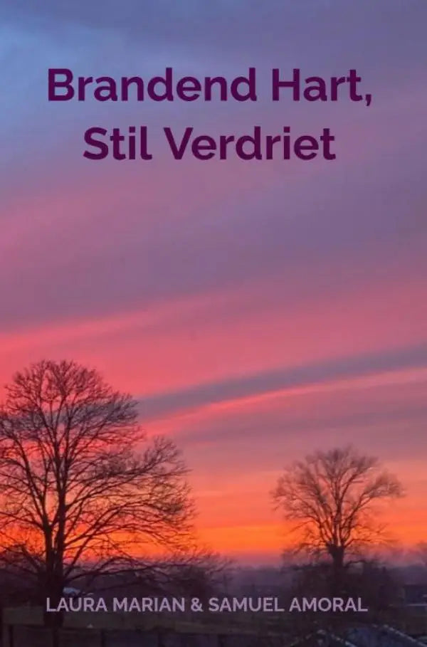 De cover van het boek stil verdriet van brandend hart toont een serene zonsondergang met roze en paarse tinten boven kale bomen