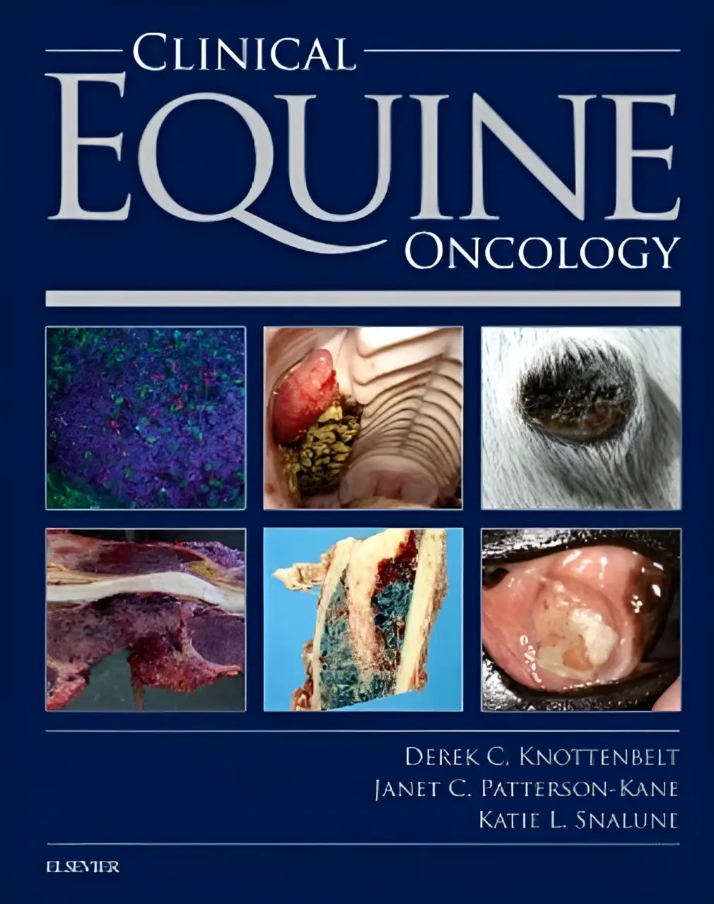 Klinisch equine oncology boek met donkerblauw omslag en zes medische afbeeldingen gericht op equine oncology