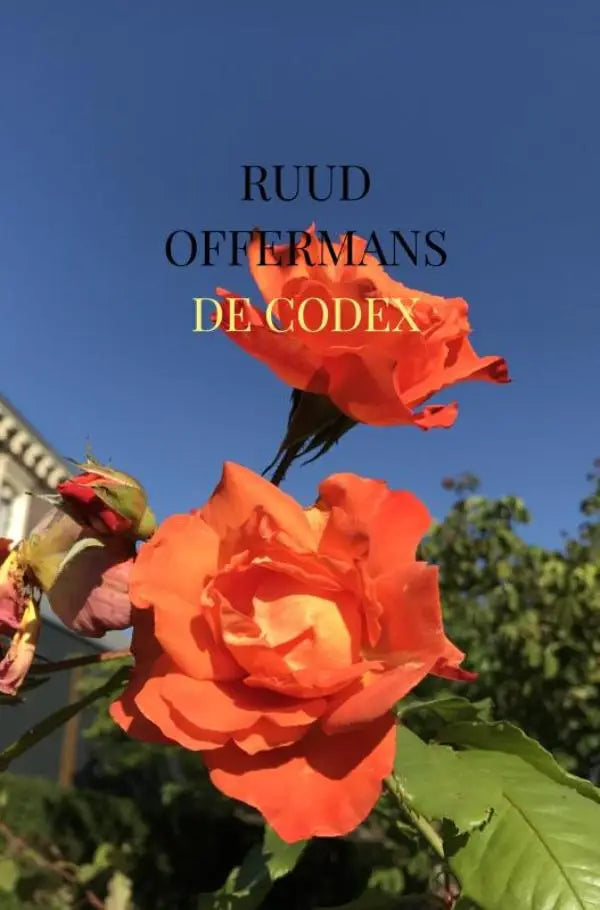 De Codex oranje rozen met gelaagde bloembladen en groene bladeren tegen een heldere blauwe lucht