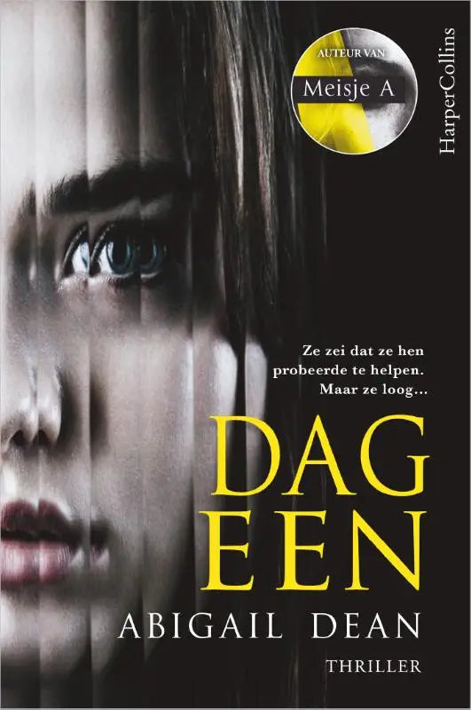 Cover van een zwarte en gele thriller met een gestileerd portret van een vrouw met blauwe ogen voor dag een ze zei dat ze hen probeerde te helpen maar ze loog