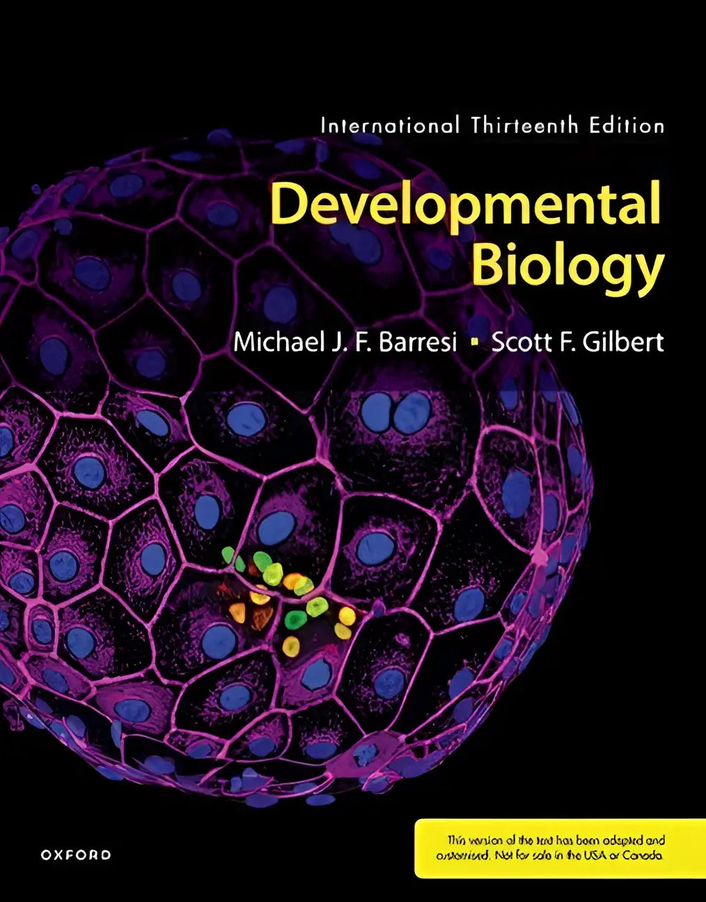 Cover van de internationale dertiende editie van developmental biology door michael j, gericht op biological sciences en neuroscience