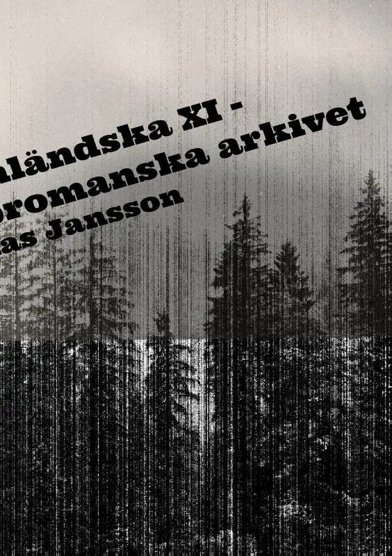 Di angermanlandska XI - skroenor ur det bromanska arkivet