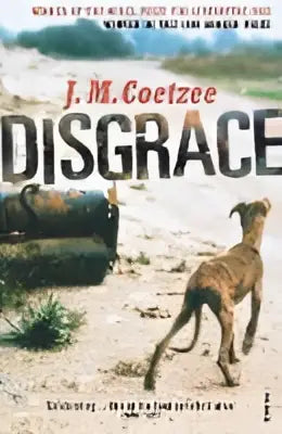 Het boek Disgrace heeft een beige omslag met de titel in zwarte hoofdletters en witte omlijning