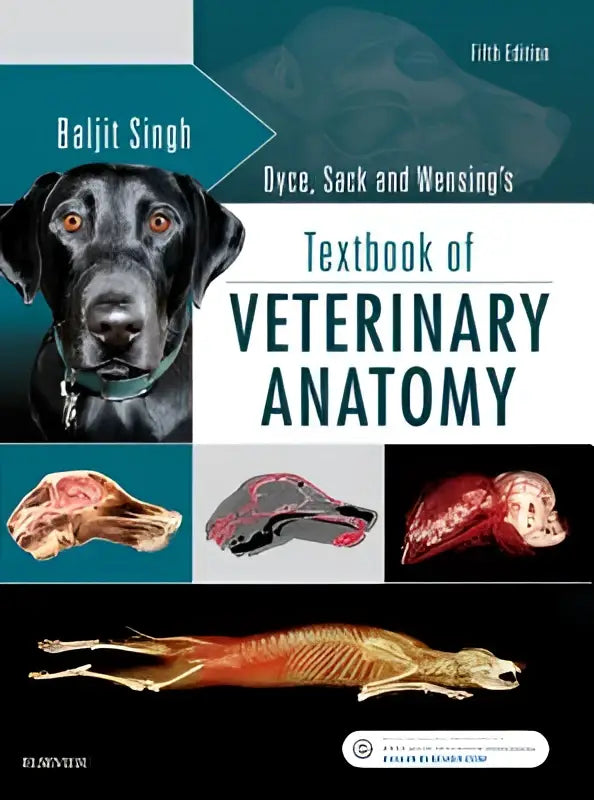 De vijfde editie van dyce sack en wensings textbook of veterinary anatomy toont een zwarte hond met amberkleurige ogen