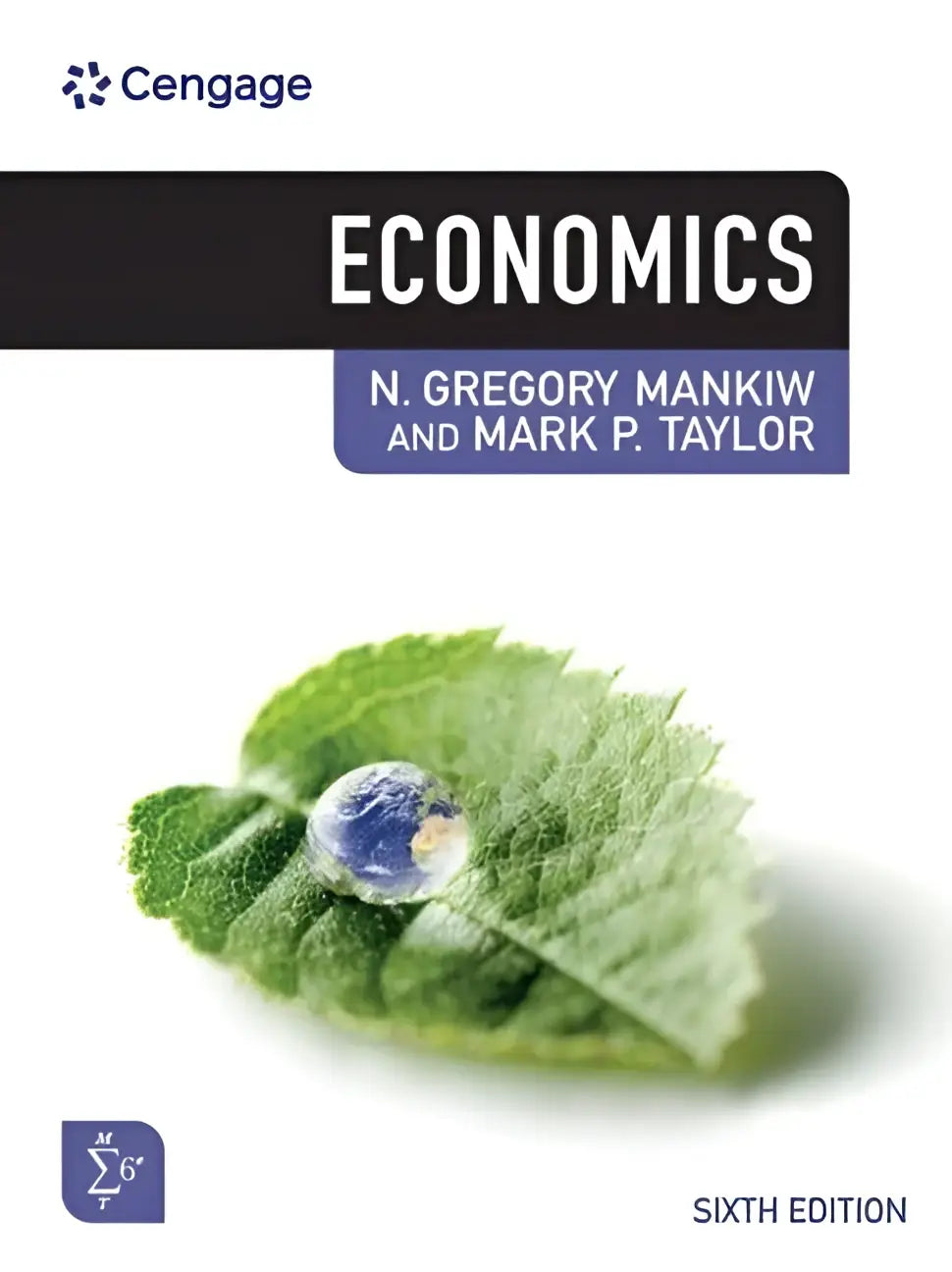 De zesde editie van het economics studieboek door n in een blauw omslag voor economiestudies