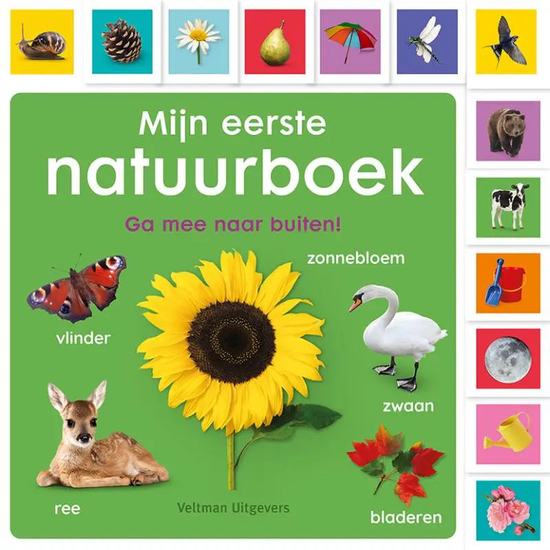 Boek voor jonge lezers met een heldergele zonnebloem en donkerbruine kern op een groene omslag