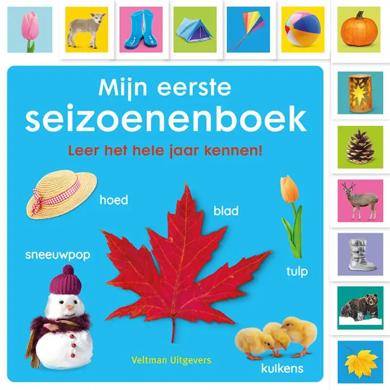 Mijn eerste seizoenenboek met een glanzend rood esdoornblad op de voorkant voor jonge lezers