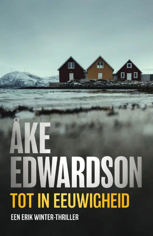 Boek tot in eeuwigheid van erik winter toont een somber besneeuwd kustlandschap met drie kleurrijke houten huizen