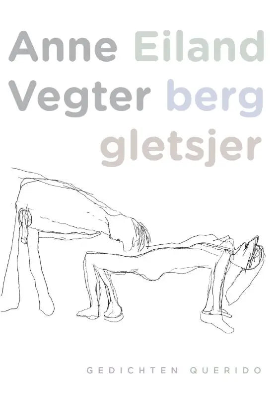 De minimalistische zwart-witte boekcover van eiland berg gletsjer toont twee figuren in een intieme pose