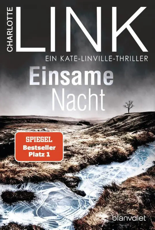 De cover van het boek einsame nacht van charlotte link toont een moody landschap met ijsstromen en kale heuvels onder een donkere lucht, een nr 1 bestseller jetzt als taschenbuch