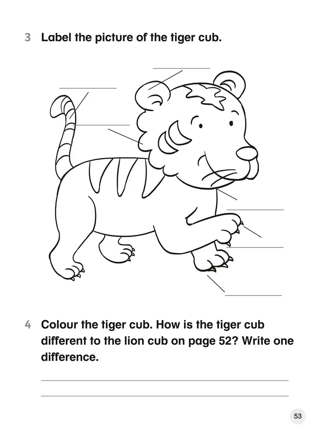 A black-and-white line drawing of a cartoon tiger cub in explore english student’s coursebook 2 for cambridge primary english teacher’s guide