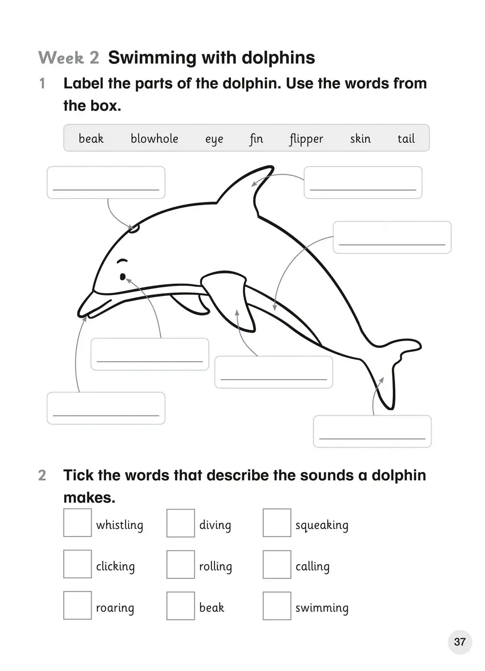 Zwarte-witte educatieve lijntekening van dolfijn met gelabelde delen voor cambridge primary english explore english student