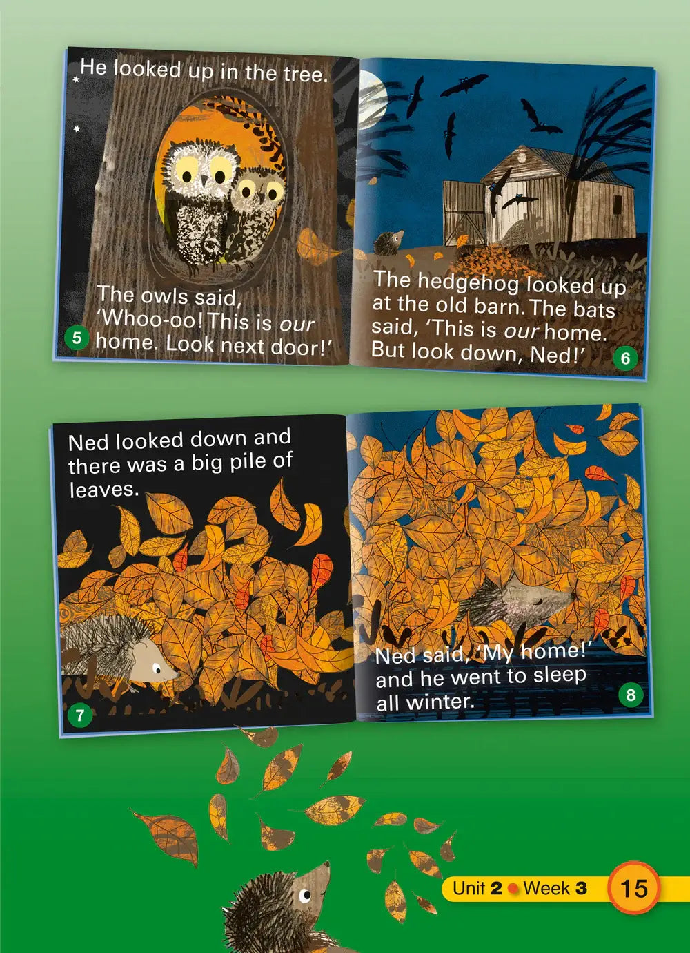 Pagina uit explore english students resource book 2 met illustraties van uilen vleermuizen en een egel in herfstscènes
