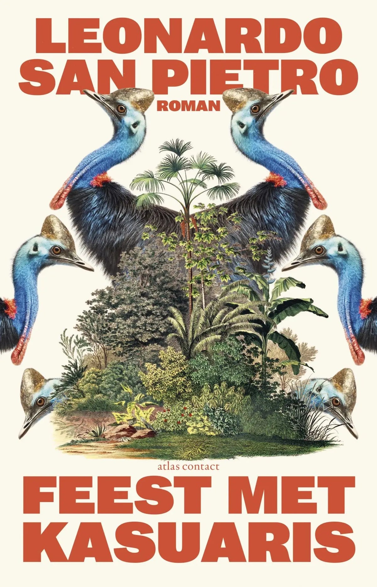 De boekcover feest met kasuaris van leonardo san pietro toont felle cassowaries met blauwe nek en zwarte lichamen