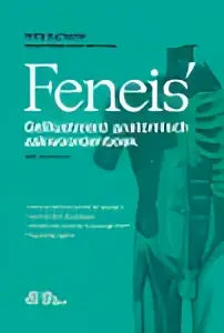 Groen omslag van het feneis geïllustreerd anatomisch zakwoordenboek duits van wolfgang dauber