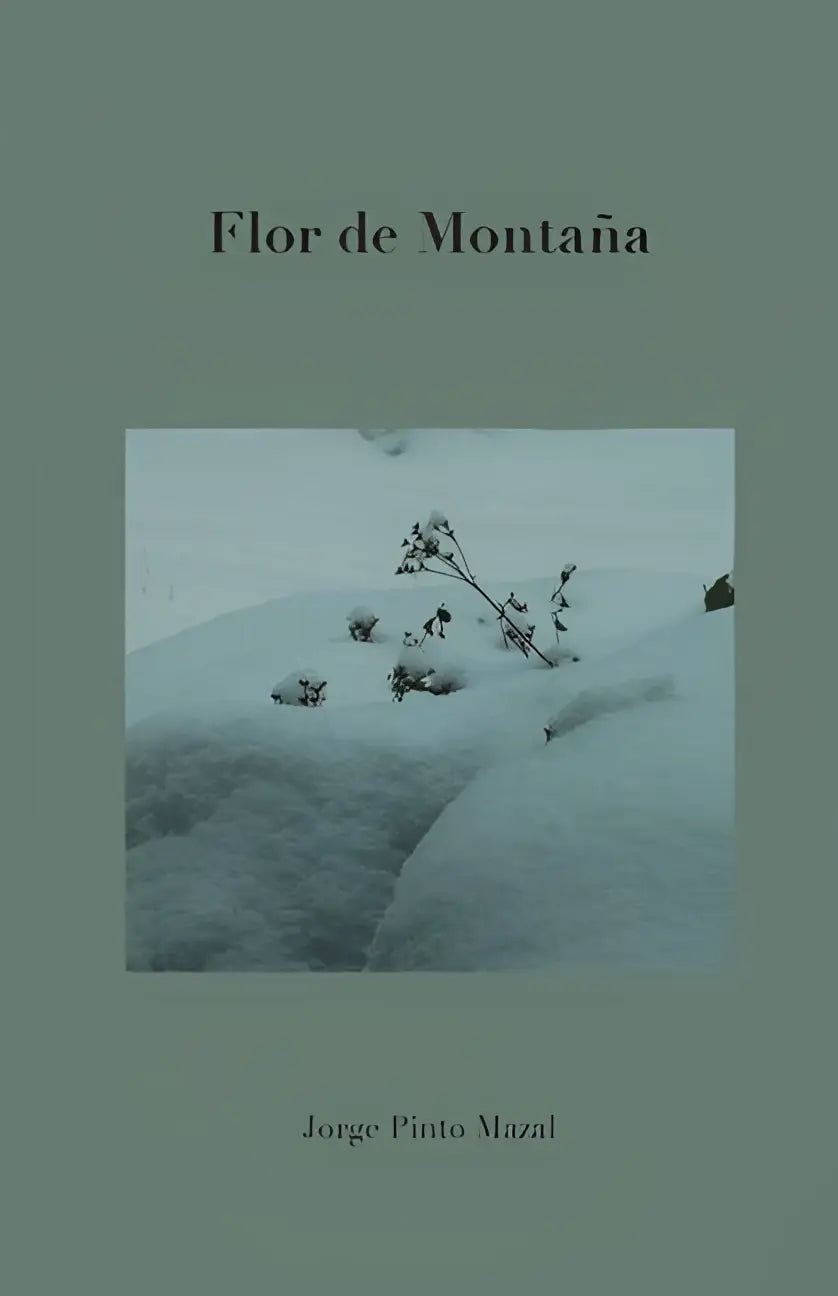 Boekomslag van flor de montaña met een rustige groene achtergrond en titel en auteur in een donkere elegante serif lettertype