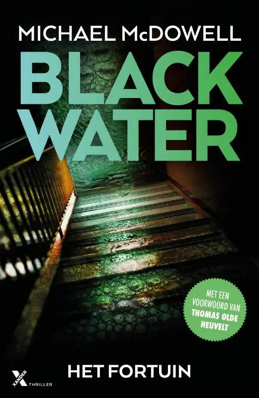 Het fortuin boekcover black water van michael mcdowell met donkere trap en groene verlichting, titel in vette blauwe letters