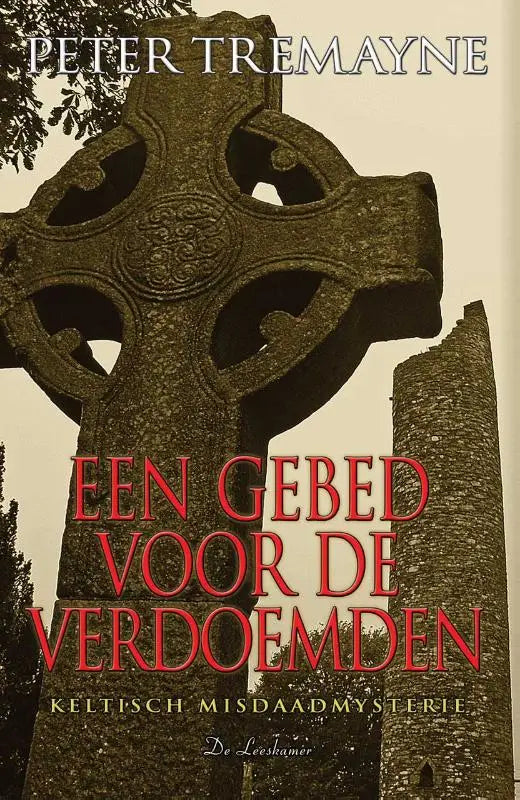 Een weerbarstig donker stenen keltisch kruis met ingewikkelde gravures en centraal motief voor keltisch misdaadmysterie