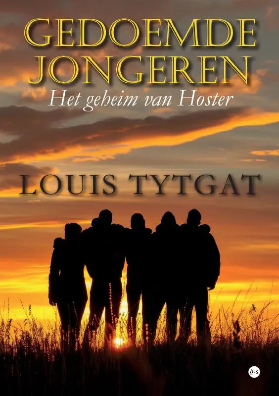 Boekcover van gedoemde jongeren het geheim van hoster door louis tytgat met silhouet van vijf figuren tegen oranje zonsondergang voor jonge lezers