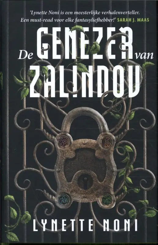 De genezer van zalindov boek met een donker sierlijk smeedijzeren slot en groene wijnranken door lynette noni