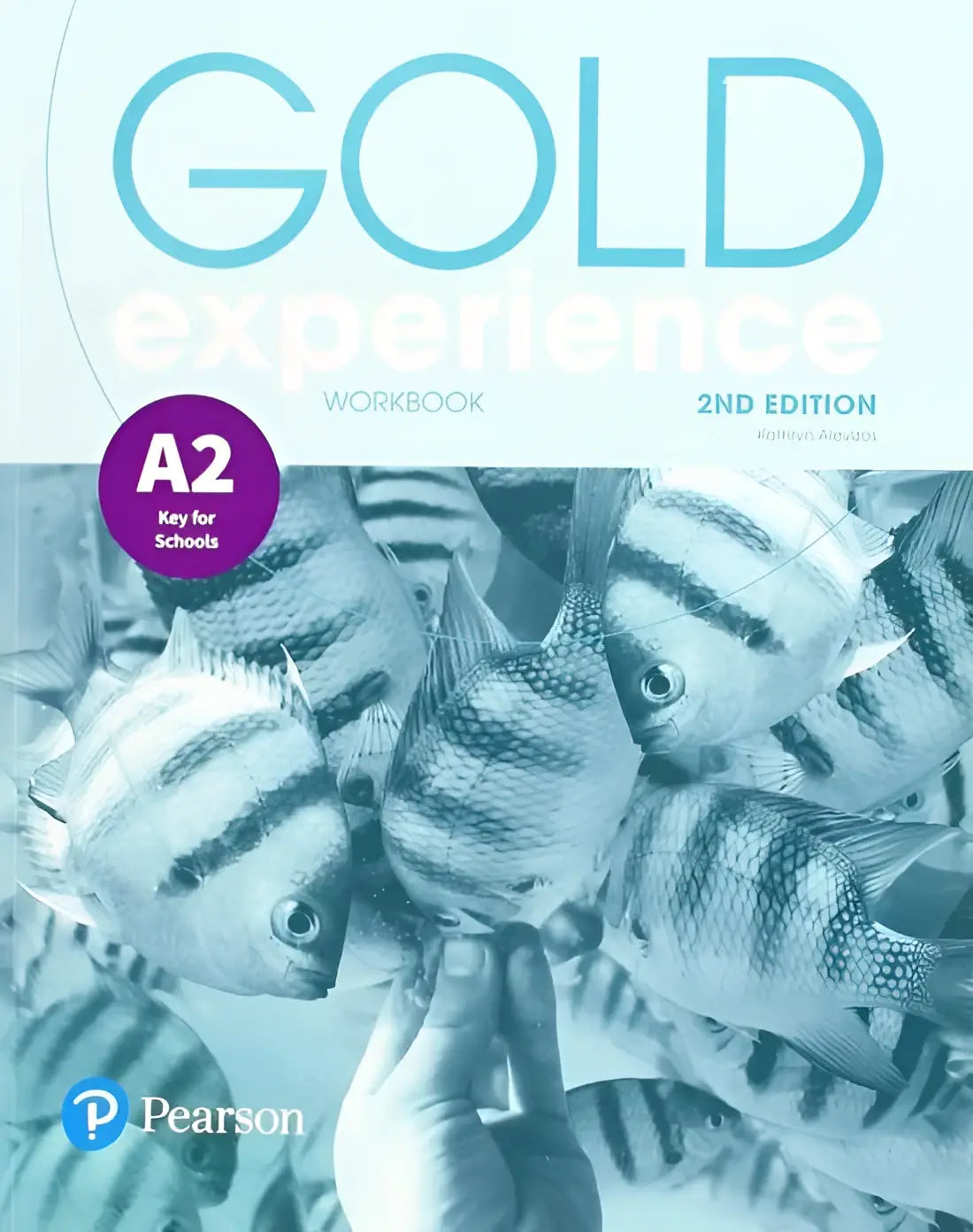 Gold experience 2nd edition a2 workbook - boek