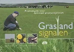 Boek gras en signalen met groene omslag en illustratie van twee mensen op gras bloemen van roodbont publishers