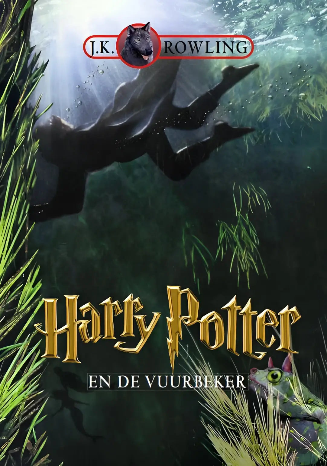 Donkere, strakke figuur van een persoon ondergedompeld in groen waterplanten bij harry potter en de vuurbeker product