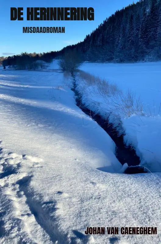 Sneeuwlandschap met een smalle bevroren stroom in de misdaadroman herinnering voor een koude sfeer