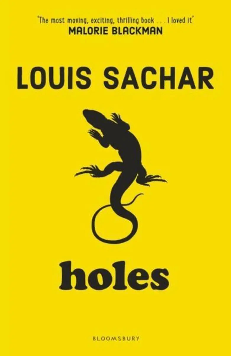 Holes - holes - boek