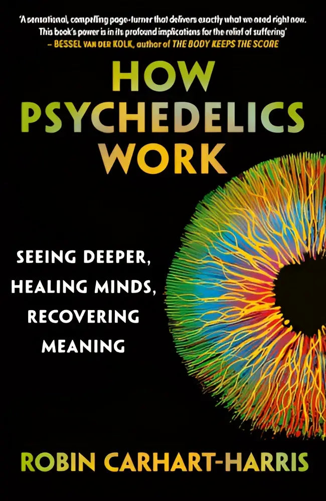 De boekcover van how psychedelics work toont de titel in gele en witte letters op een zwarte achtergrond