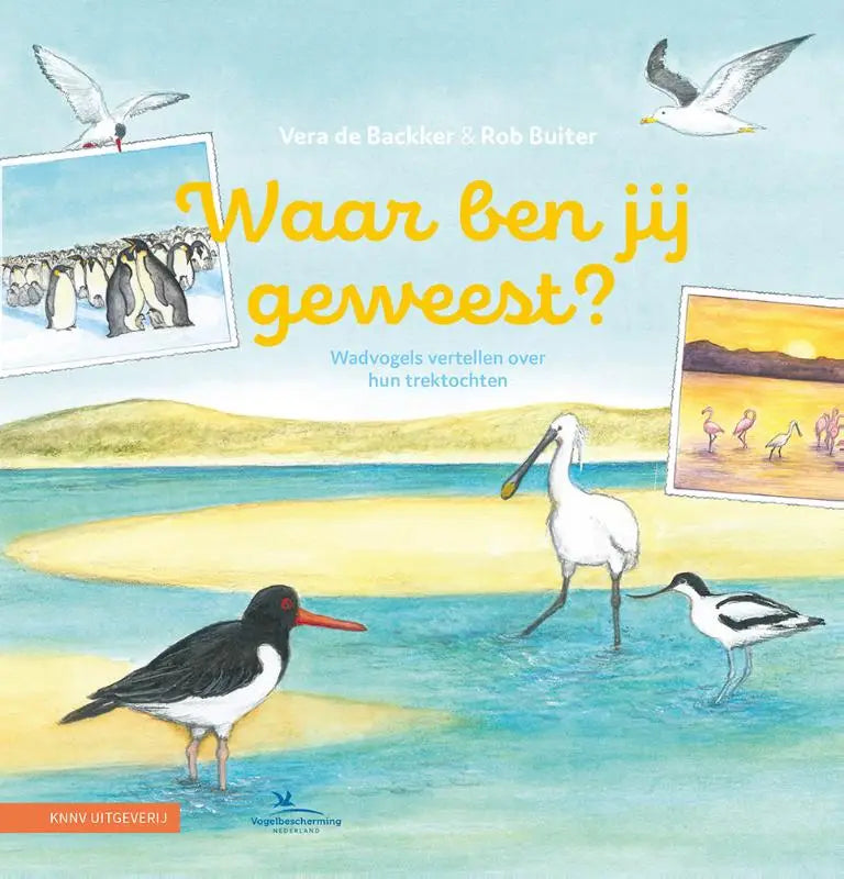 De kleurrijke cover van het kinderboek waar ben jij geweest toont verschillende vogels zoals een scholekster en wulp