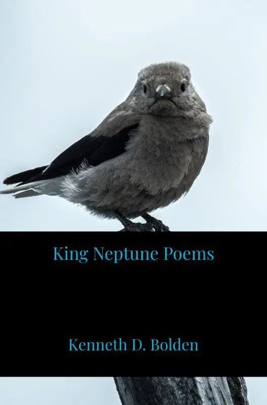 Een grijze vogel met zwarte vleugeltoppen zit op een tak bij king neptune poems productontwerp