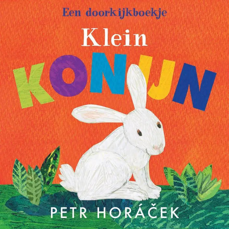 Een klein konijn illustratie met een wit konijn op groen gras tegen een oranje achtergrond voor jonge lezers