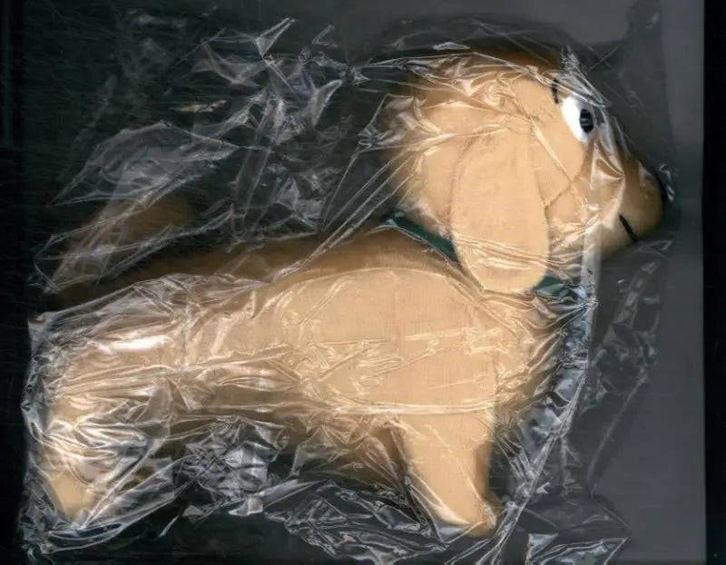 A tan plush dachshund toy knuffel moos with black eyes and a green collar wrapped in clear plastic designed by mick schellens