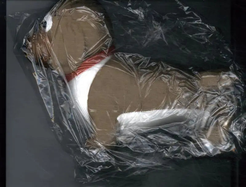 Knuffel ollie een bruine en witte pluche teddybeer met een rode halsband verpakt in transparante folie mick schellens