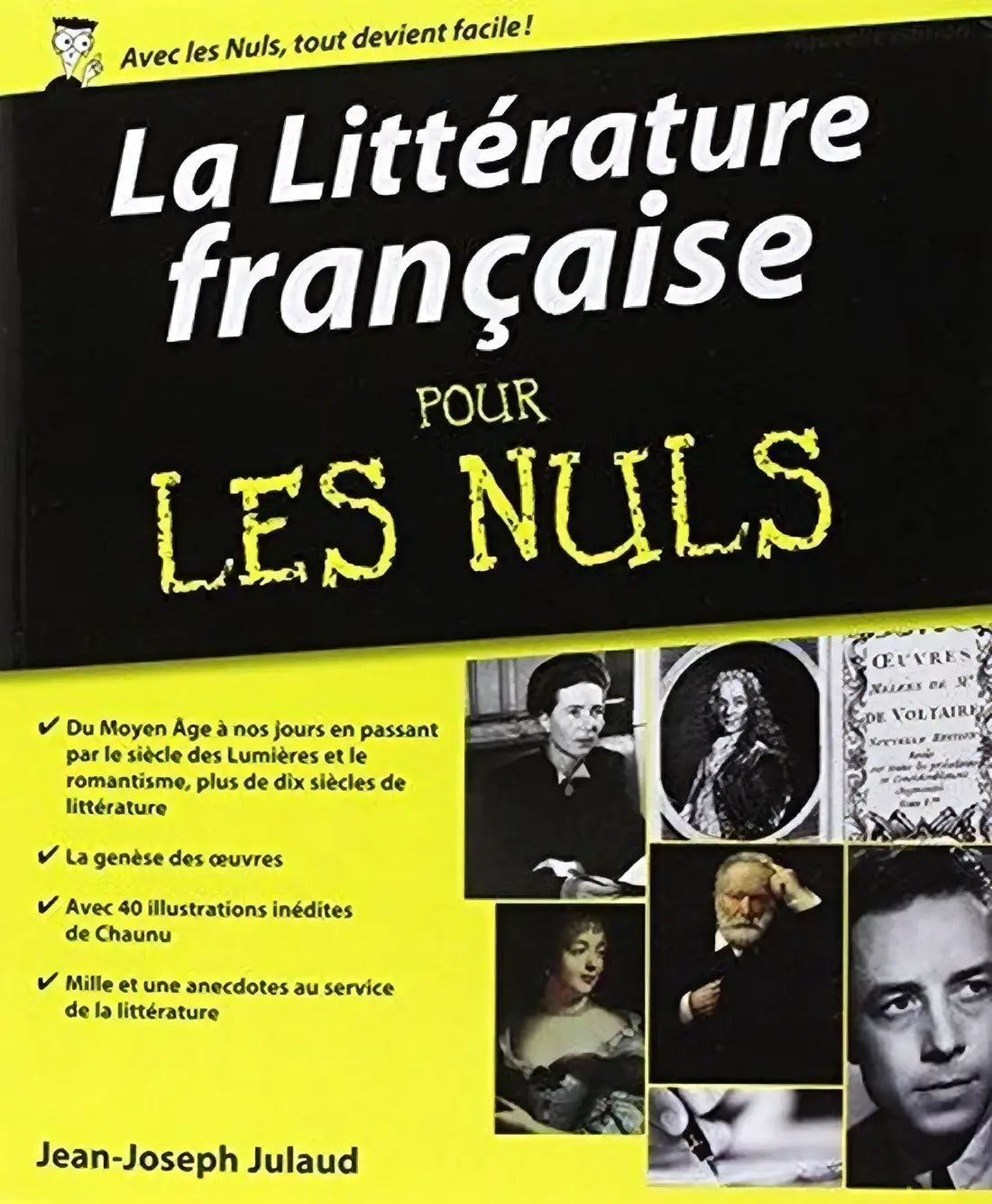 Zwart en geel boek literatuur française pour les nuls van jean-joseph julaud voor literatuur française met la littérature