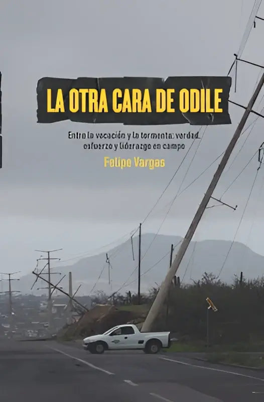 De boekcover van la otra cara de odile toont geel tekst op zwarte banner tegen grijze lucht met elektriciteitsmasten en een scheve paal, thema entre la vocación, esfuerzo y liderazgo