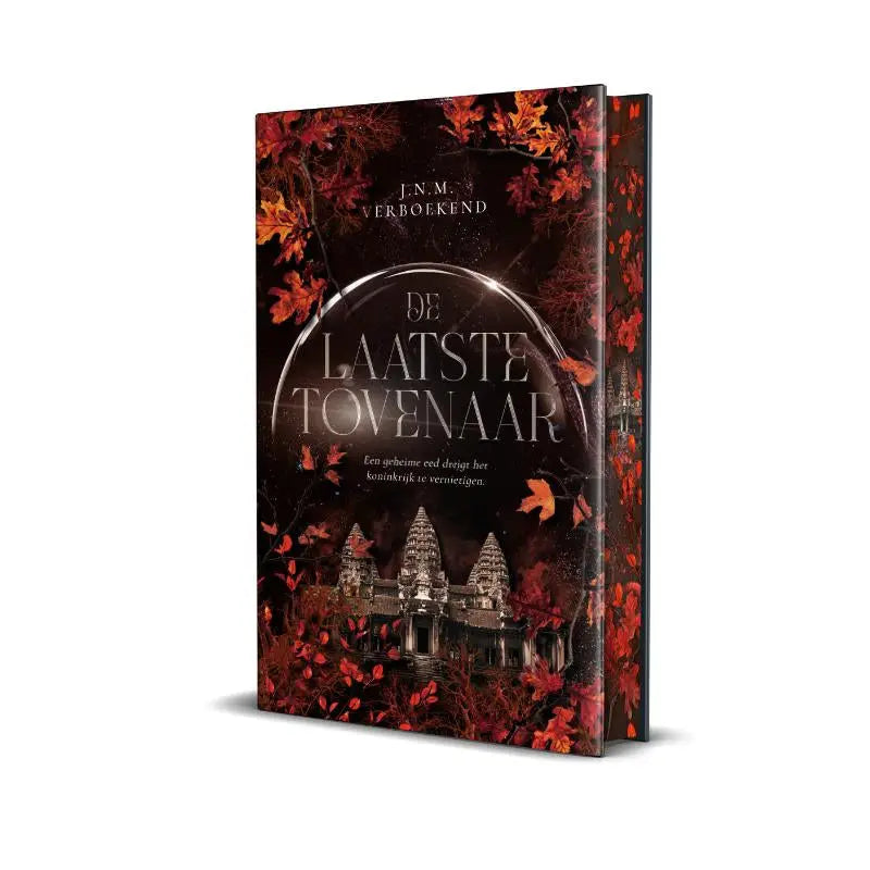 Een hardcover boek met een donkerrode cover en herfstbladeren getiteld de laatste tovenaar door j.n.m