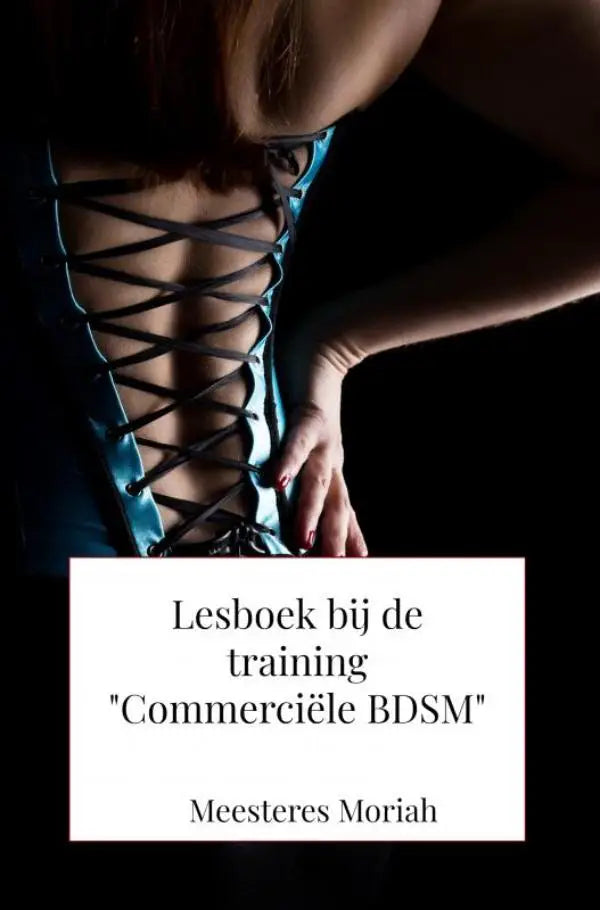 Lesboek bij de training commerciële bdsm met een teal satijnen corset met zwarte vetersluiting