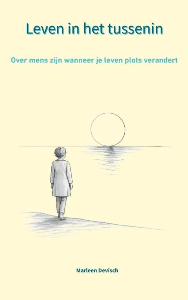 De boekcover toont een minimalistische illustratie van een persoon aan de kust bij een grote cirkelvormige zon die het leven plots verandert weerspiegelt