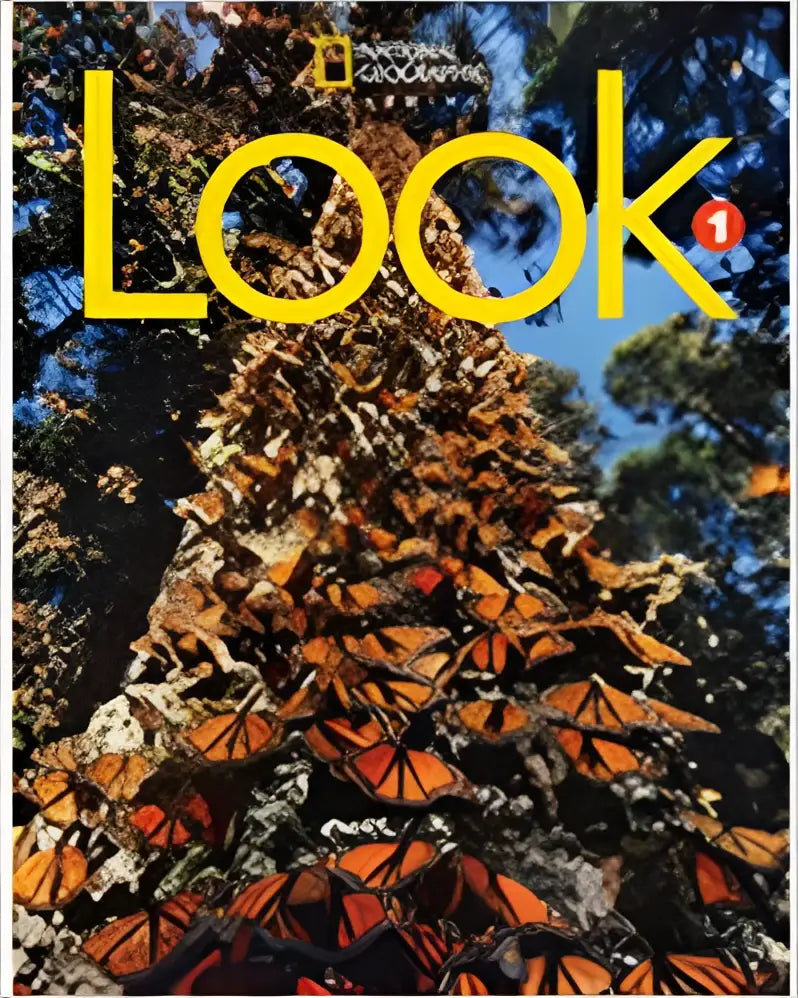 A vibrant orange and black monarch butterfly swarm cascades down a tree trunk featured on the look level 1 workbook product cover