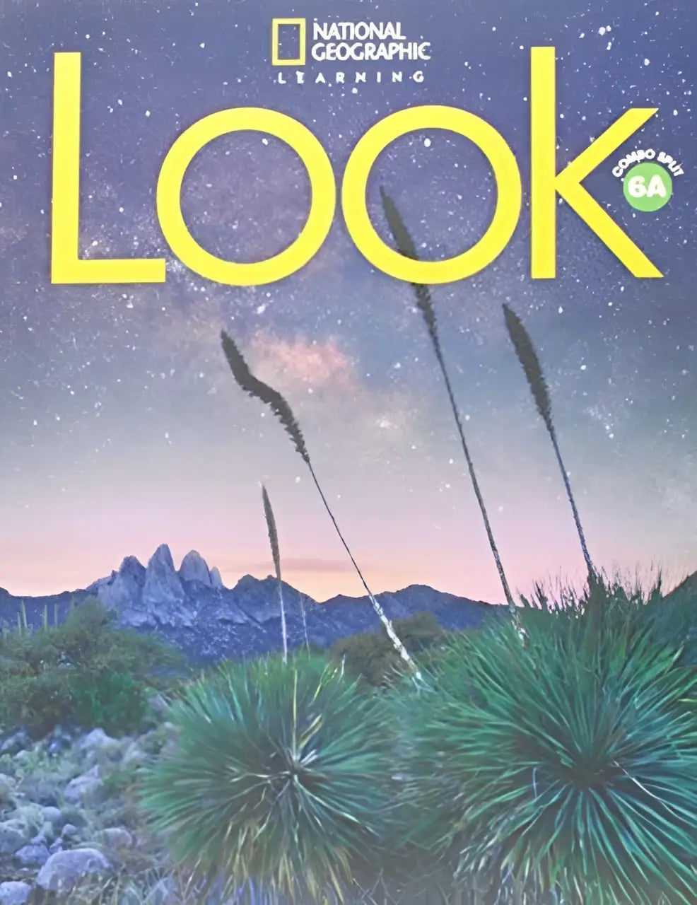 Look level 6 combo split a - look level 6 combo split a - boek