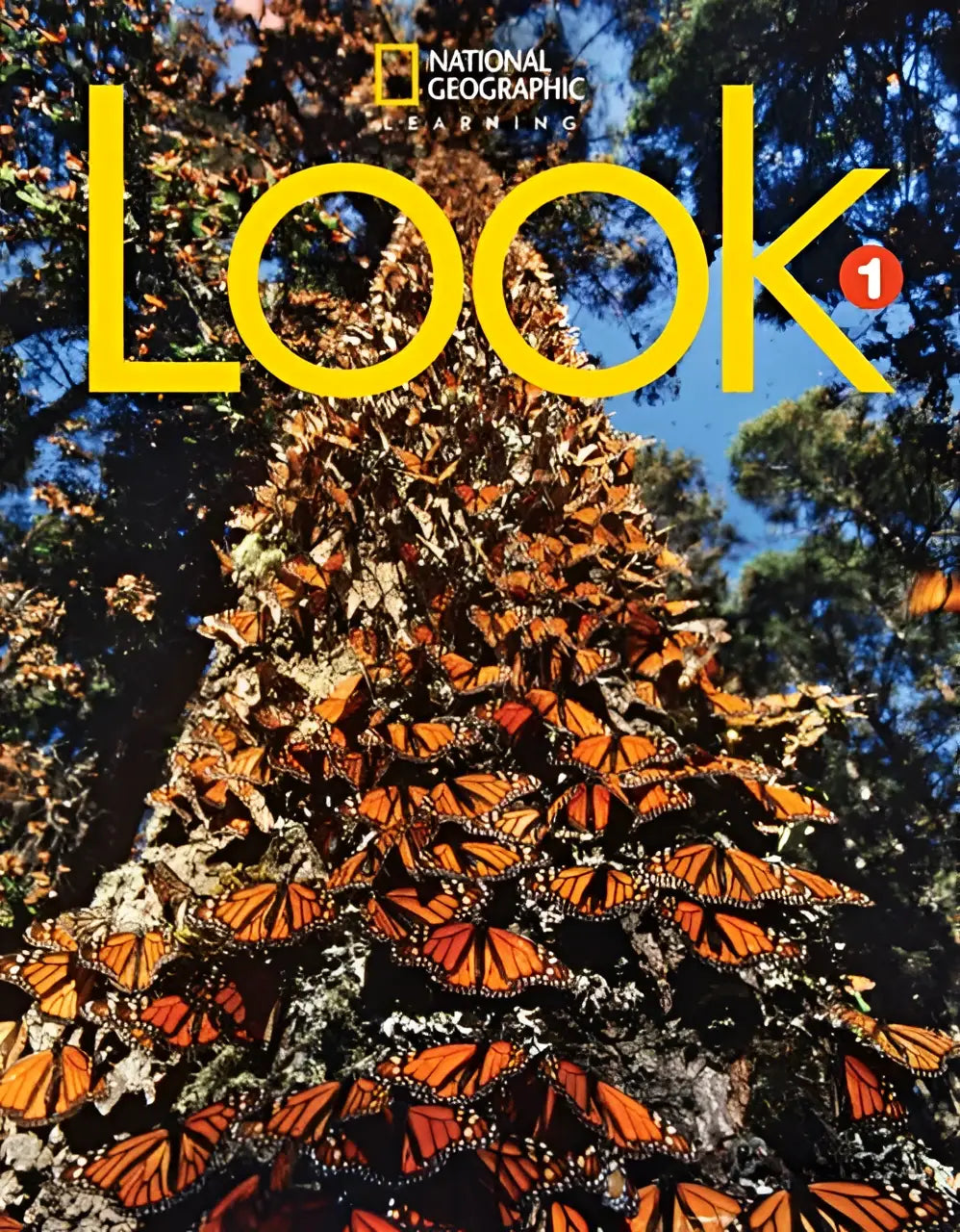 Look level 6 student’s book - look level 6 student’s book - boek