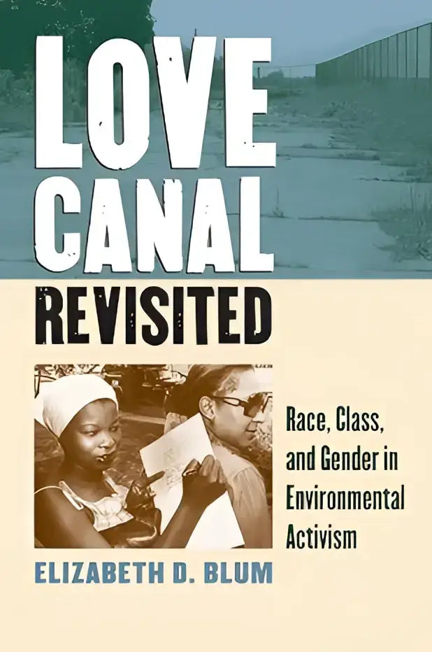 De boekcover van love canal revisited door elizabeth d over milieuactivisme rond race klasse en gender in new york