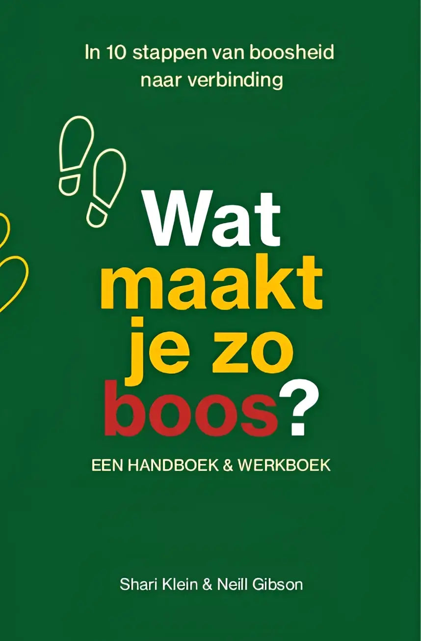Groen boek met gele en rode tekst wat maakt je zo boos door shari klein en neill gibson over stappen van boosheid naar verbinding